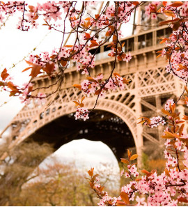 Adesivo de Parede Primavera Paris
